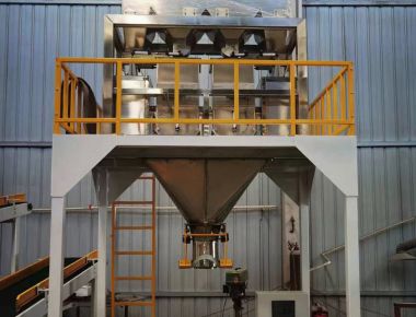 Ligne d'ensachage de sel à deux voies - Solution d'emballage de sel à haute capacité