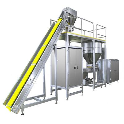 Ligne d'ensachage de sel à deux voies - Solution d'emballage de sel à haute capacité