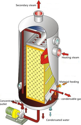 Vaporisateur à couche descendante duplex du plat 5T/HR d'oreiller d'acier inoxydable 2205 dans la MVR